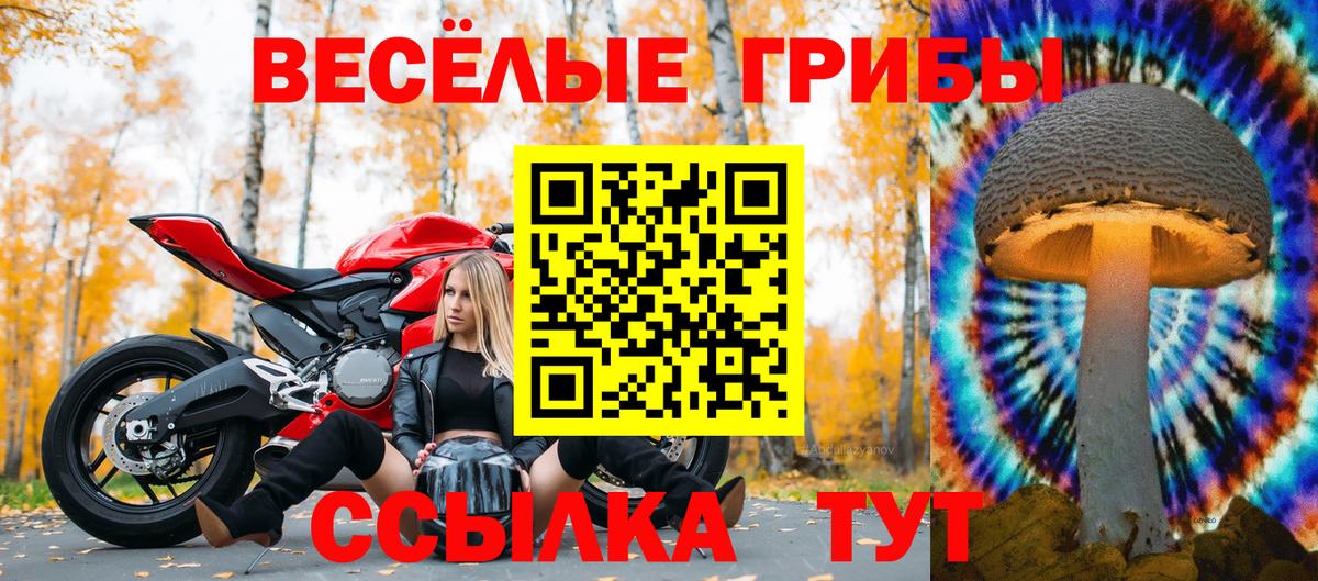 Псилоцибиновые грибы Magic Shrooms Долгопрудный